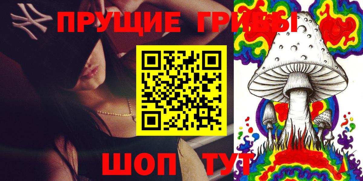 Малоярославец  Псилоцибиновые грибы Cubensis  Вход с VPN 